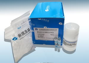 BCA02/BCA蛋白定量试剂盒