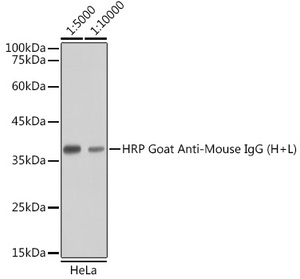 AS003-100ul/HRP Goat Anti-Mouse IgG (H+L)